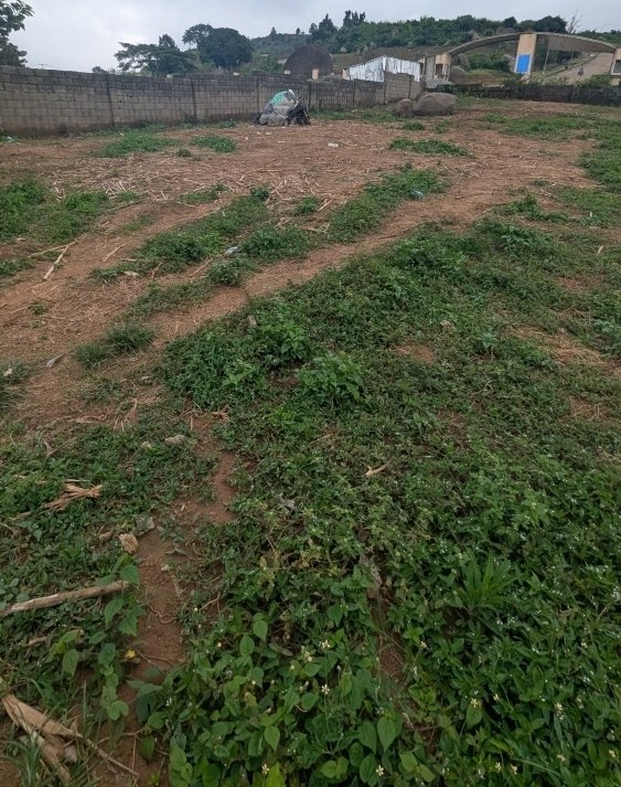 leveled-c-of-o-1500m2-high-density-land