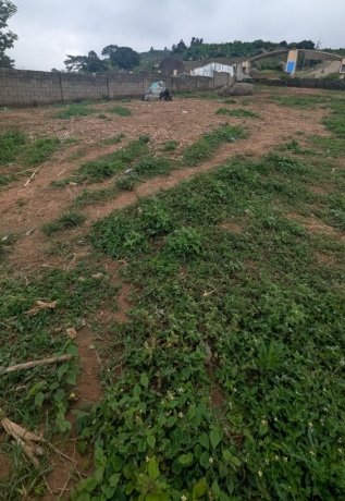 leveled-c-of-o-1500m2-high-density-land-big-0