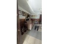 spectacular-3bedroom-detached-bungalow-small-13