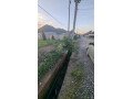 550m2-bungalow-plot-small-8