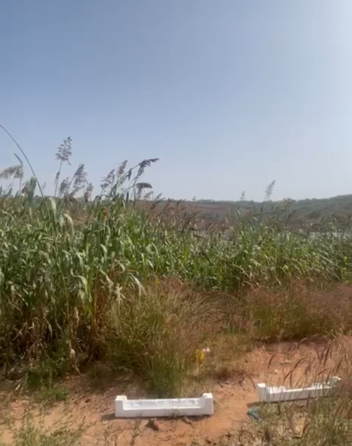 land-for-sale-in-guzape