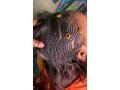 professional-hair-stylist-small-4