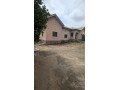 3bedroom-semidetached-bungalow-small-1