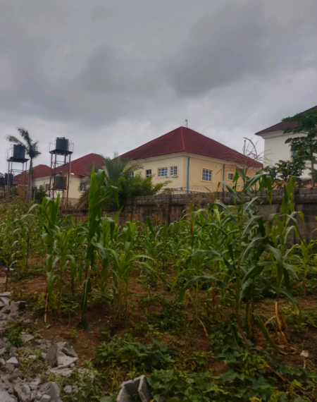duplex-plot-for-sale-in-an-estate
