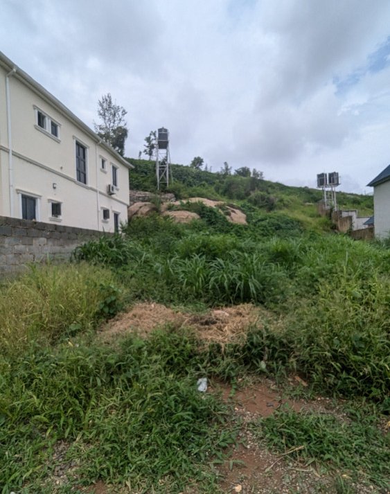 levelled-2hectares-c-of-o-land