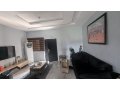 sparkling-spacious-2bedroom-apartment-small-7