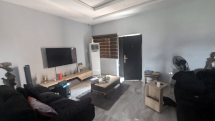 sparkling-spacious-2bedroom-apartment-big-21