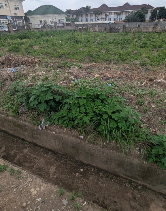 levelled-c-of-o-land