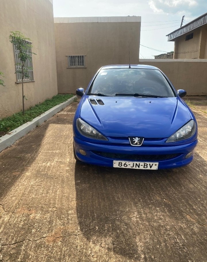 sound-peugeot-206